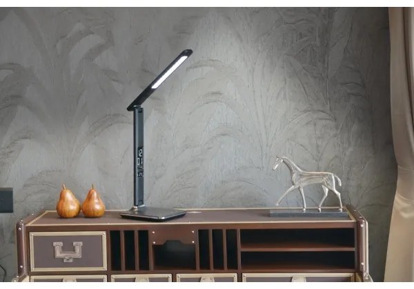 Immax 08930L - LED Stmievateľná stolná lampa KINGFISHER LED/9W/230V/12V