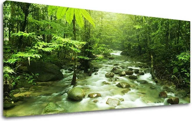 Obraz na stenu PANORÁMA STROMY