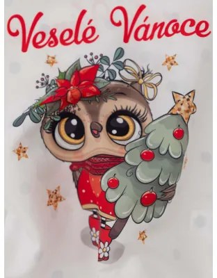 Vianočná obliečka na vankúšik 40 × 40 cm – Veselé Vianoce Sovička