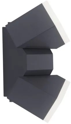 Paul Neuhaus 9722-13 - LED Vonkajšie nástenné svietidlo RYAN 2xLED/5W/230V IP54