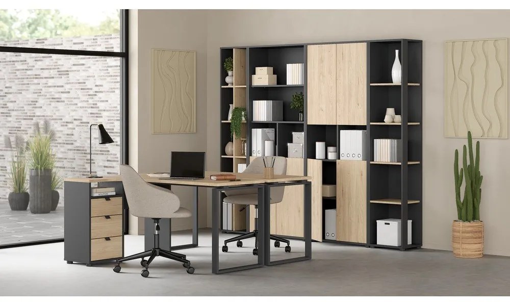 Knižnica v dekore duba v antracitovo-prírodnej farbe 41x205 cm Sign – Tvilum