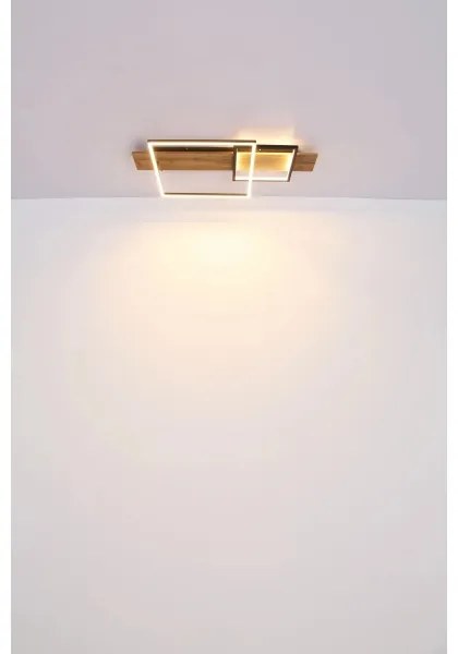 Globo 67289D1 - LED Stropné svietidlo VANNI LED/24W/230V hnedá/čierna