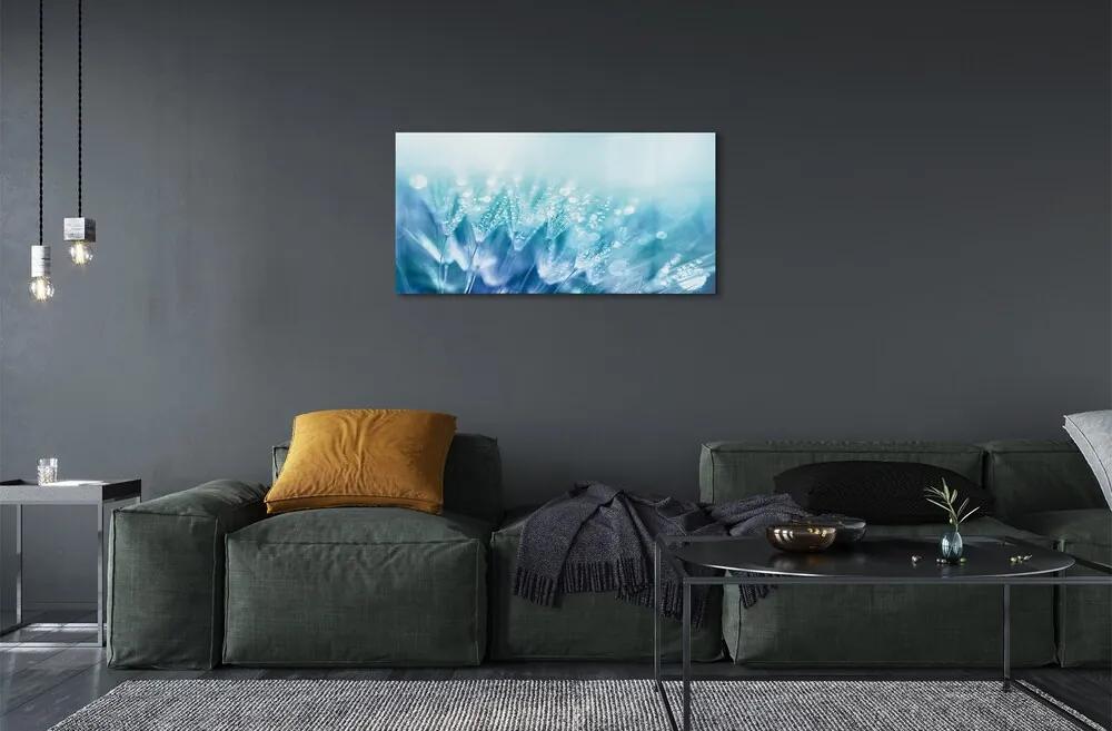 Obraz na skle Kvapky púpavy abstrakciu 120x60 cm