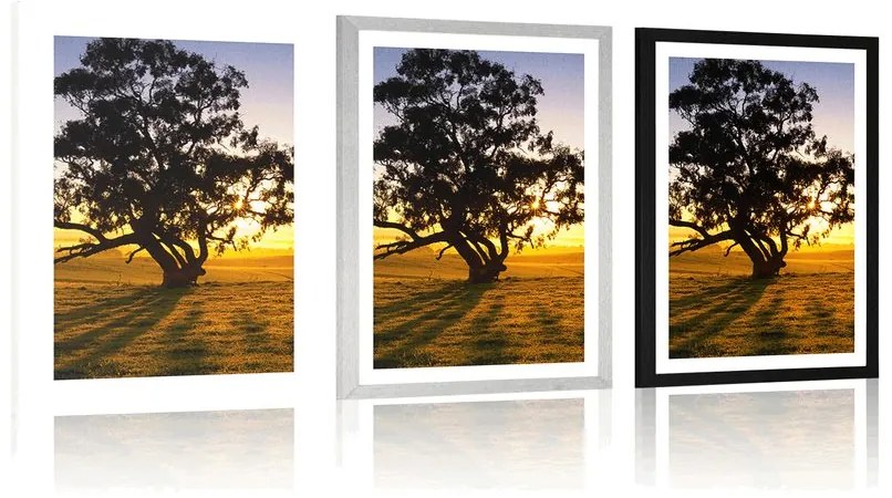Plagát s paspartou osamelý strom pri západe slnka - 40x60 black