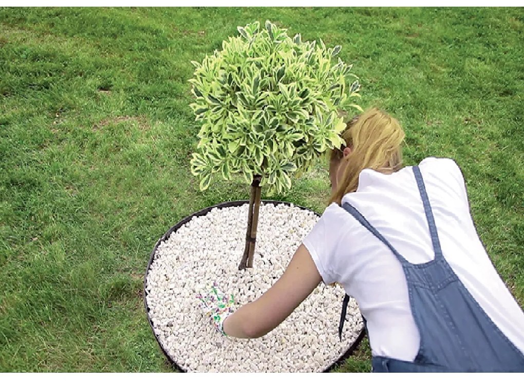 PROSPERPLAST Obrubník neviditeľný BORDER 0645 čierny 480cm