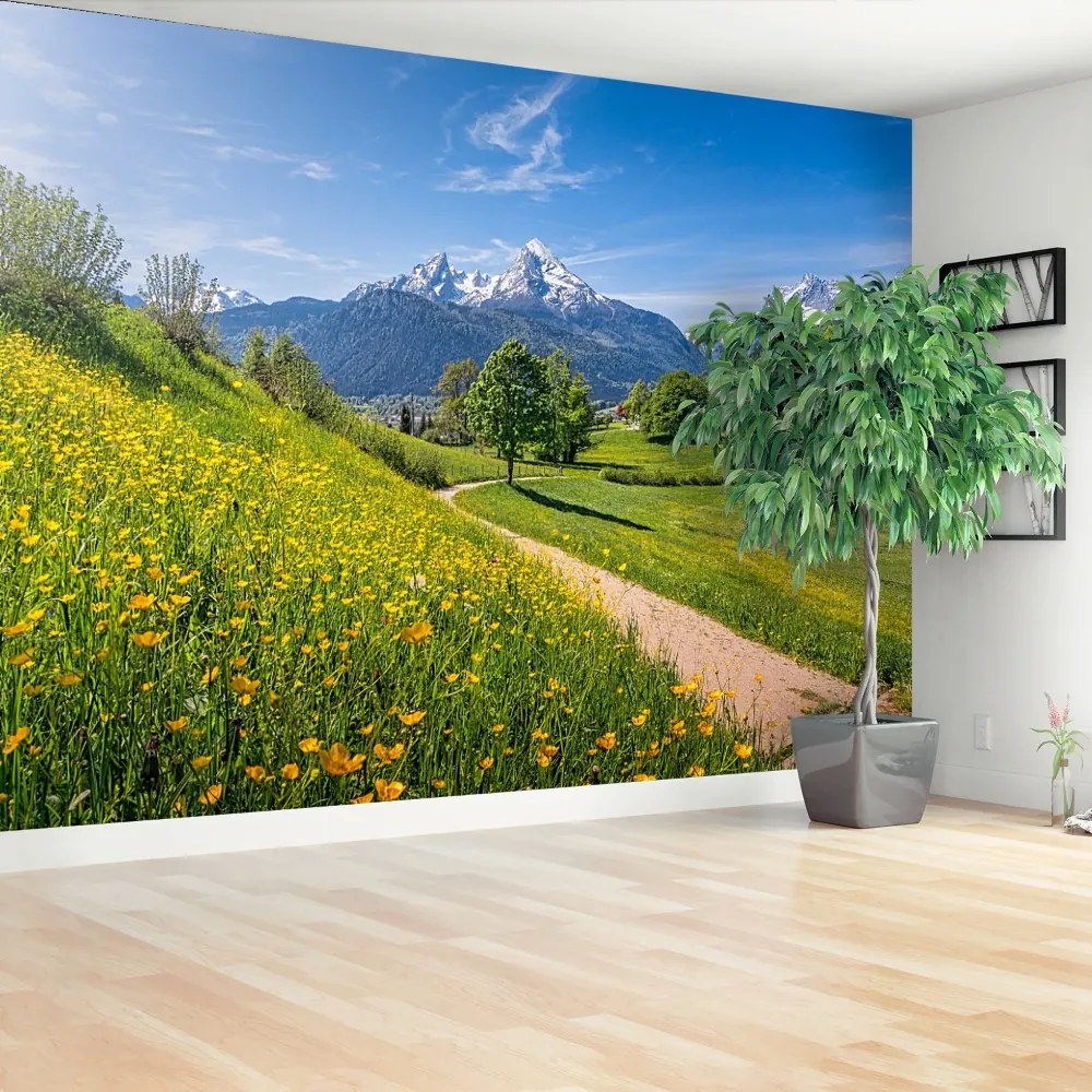 Fototapeta Vliesová Idylické alpy 416x254 cm