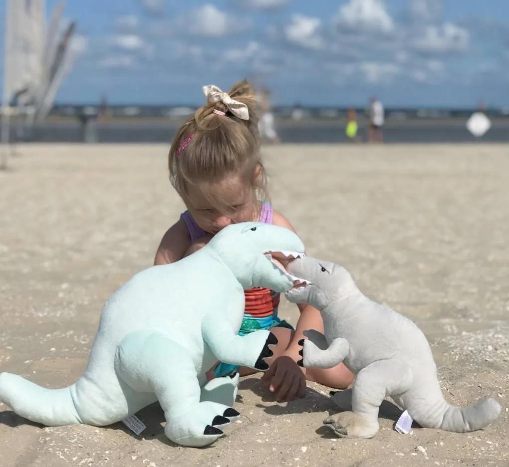 Dinosaurus rozmer M mätový personalizácia: Iba samotná bábika