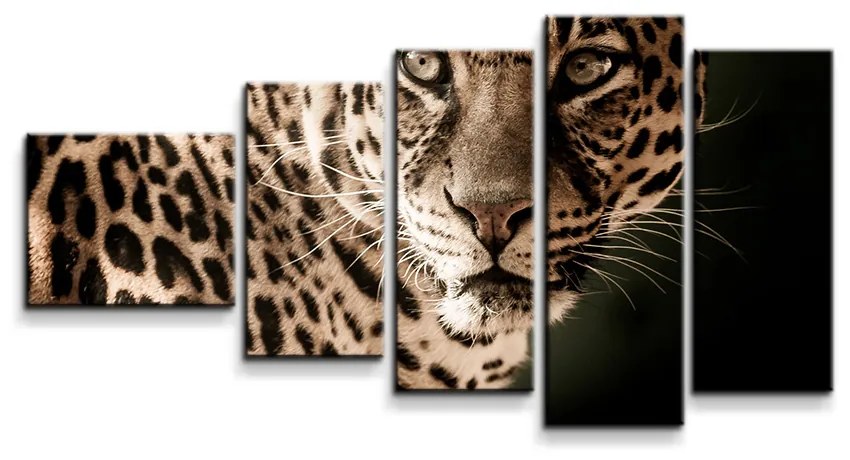 Sablio Obraz - 5-dílný Leopard - 100x60 cm