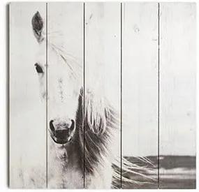 Drevený obraz Graham & Brown Horse, 50 × 50 cm