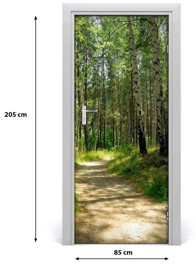 Fototapeta na dvere Břízová les 85x205 cm