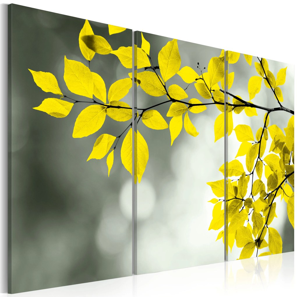 Artgeist Obraz - Gold sprig Veľkosť: 120x80, Verzia: Premium Print