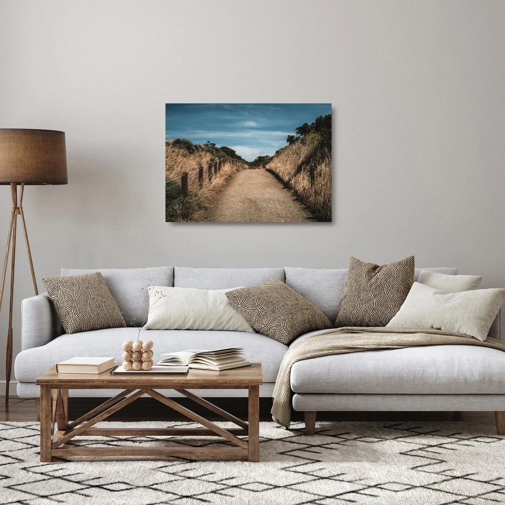 Sklenený obraz - Na chodníku (70x50 cm)