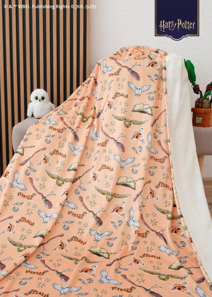 Deka mikroplyš Harry Potter 150 × 200 cm - Marhuľová