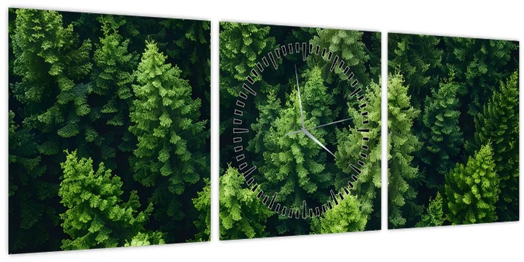 Obraz - Les (s hodinami) (90x30 cm)