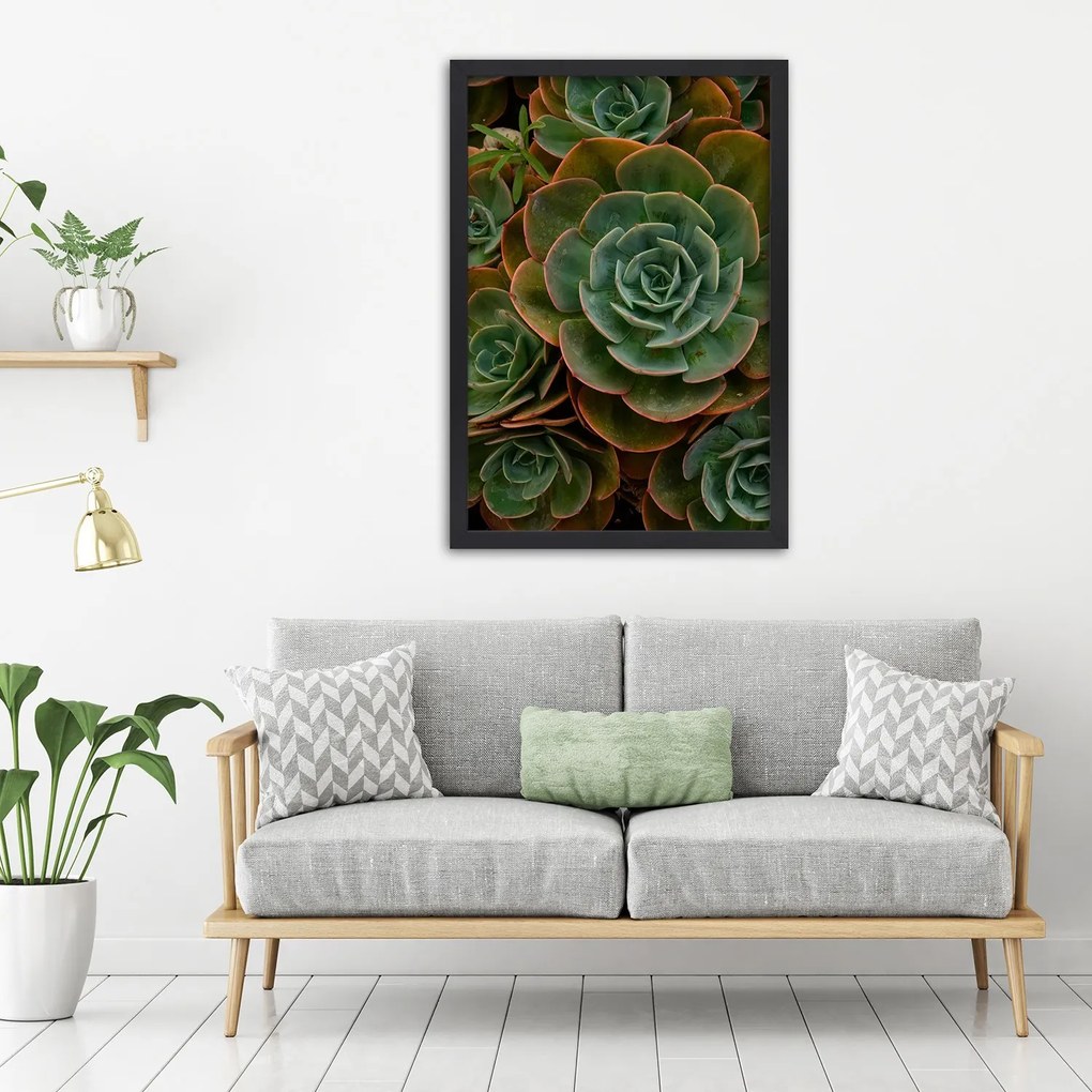 Gario Plagát Dekoratívne sukulenty Farba rámu: Bez rámu, Rozmery: 40 x 60 cm