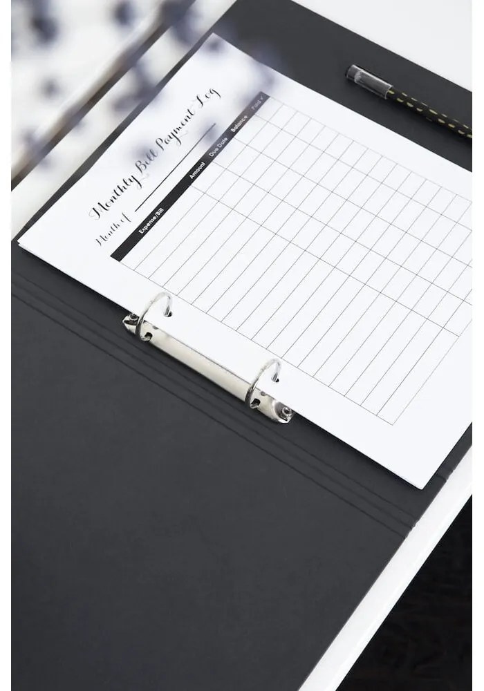 Kartónový organizér na dokumenty Ringo – Bigso Box of Sweden