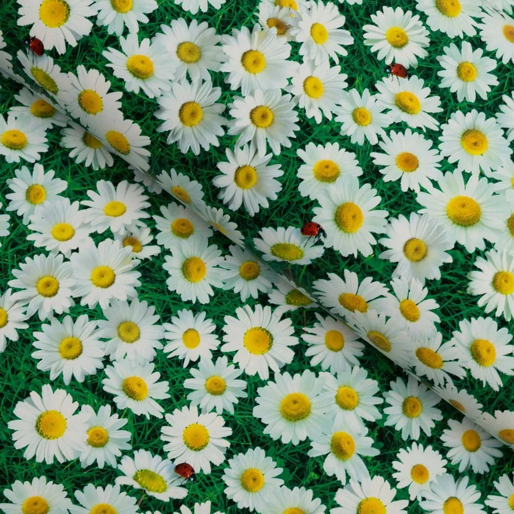 PVC obrus Margaréty na zelenom PV-161 - metráž š. 140 cm
