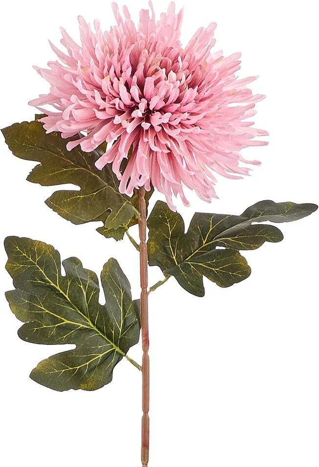 FLORISTA Chryzantéma 73 cm - ružová