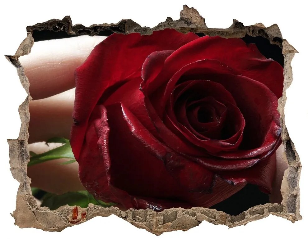 Fotoobraz díra na stěnu Žena s ruží nd-k-6668624