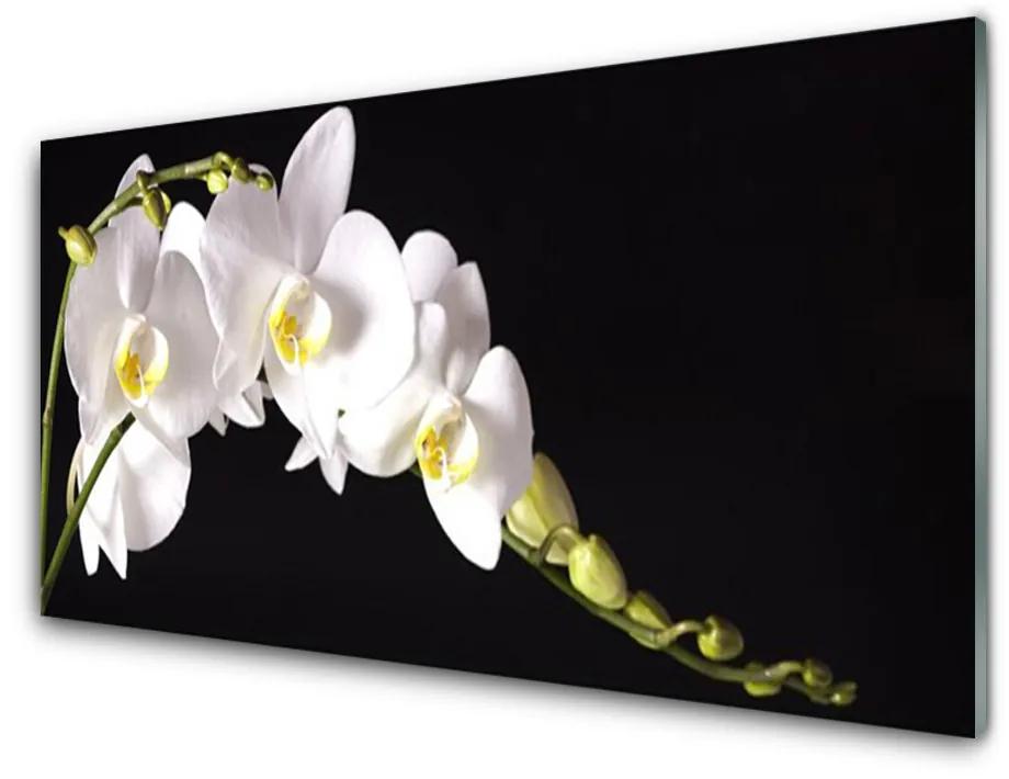 Obraz na skle Kvety rastlina 100x50cm