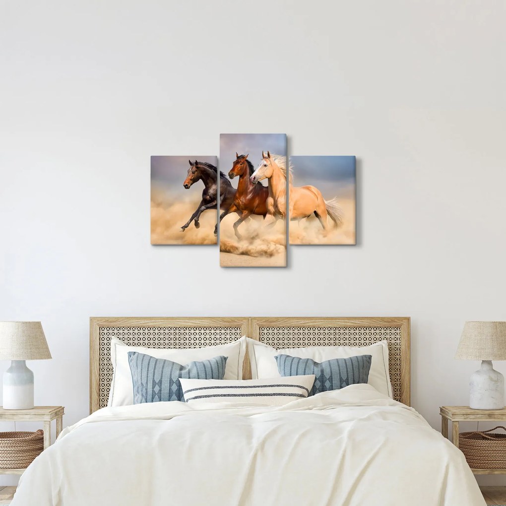 Obraz - Divé kone (90x60 cm)