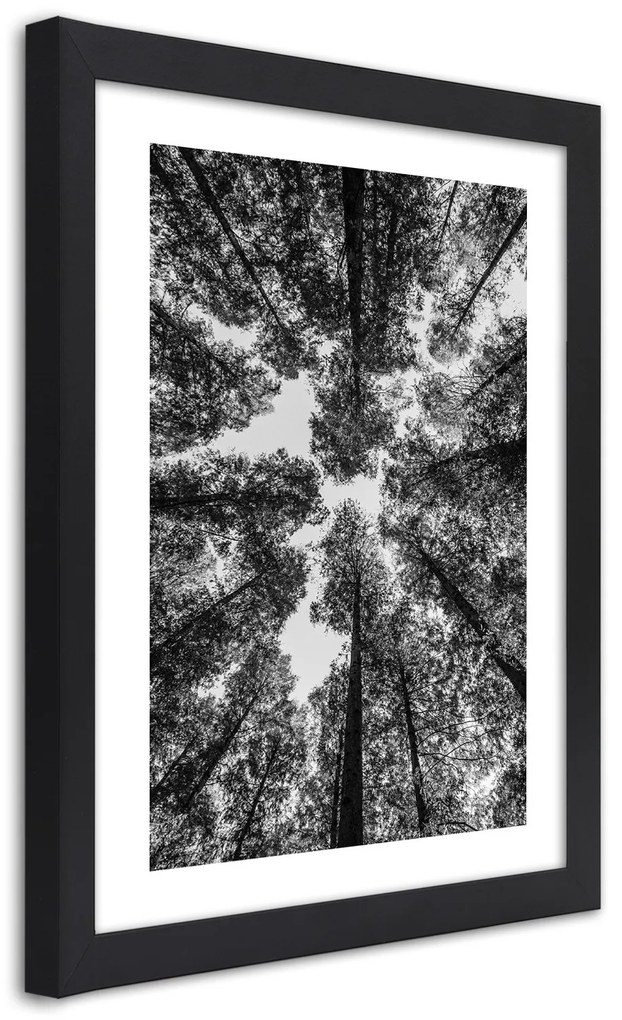 Gario Plagát Koruny stromov Farba rámu: Bez rámu, Rozmery: 70 x 100 cm
