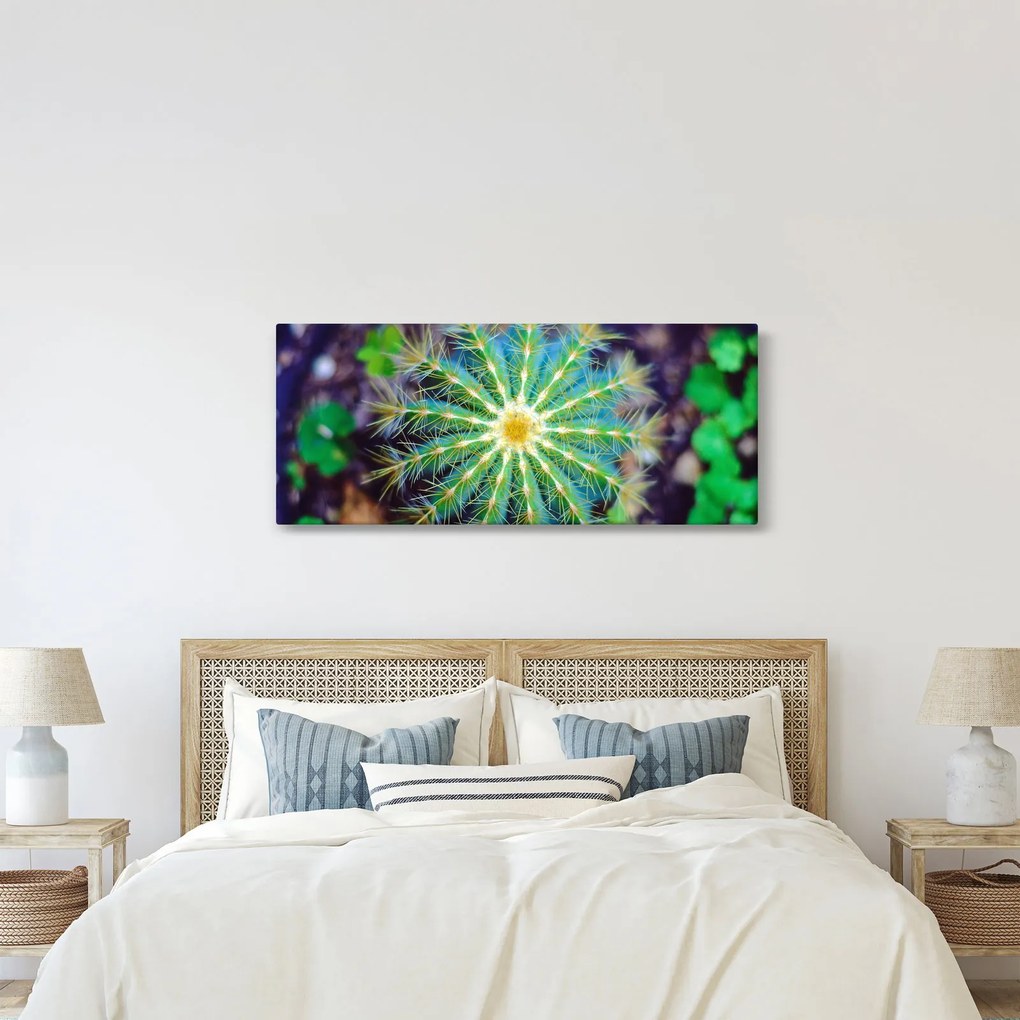 Obraz kaktusu (120x50 cm)