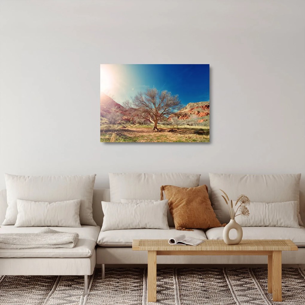 Sklenený obraz stromu v púšti (70x50 cm)