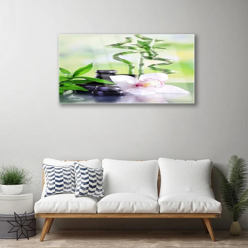 Skleneny obraz Orchidea bambus zen kúpele 120x60 cm