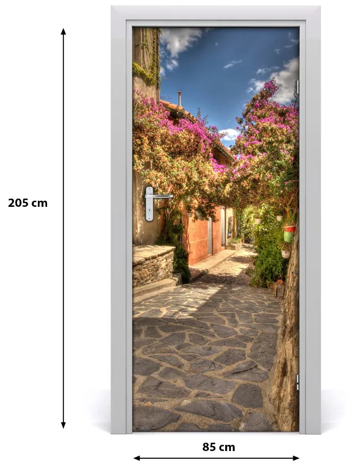 Fototapeta samolepiace dvere francúzskej uličky 85x205 cm