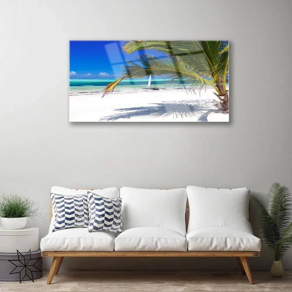Skleneny obraz Pláž palma príroda 140x70 cm