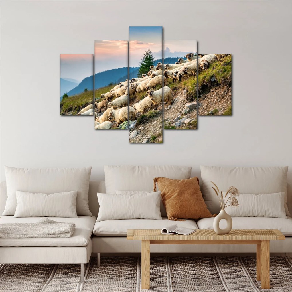 Obraz - Stádo oviec (150x105 cm)