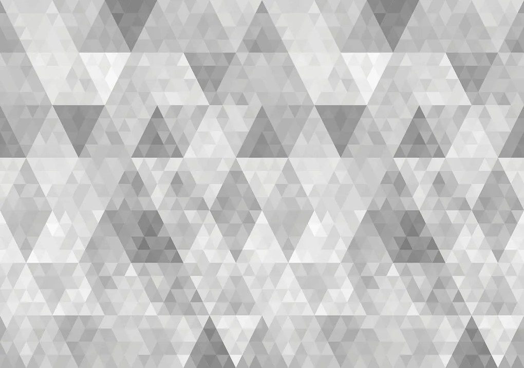 Fototapeta - Trojuholník (152,5x104 cm)