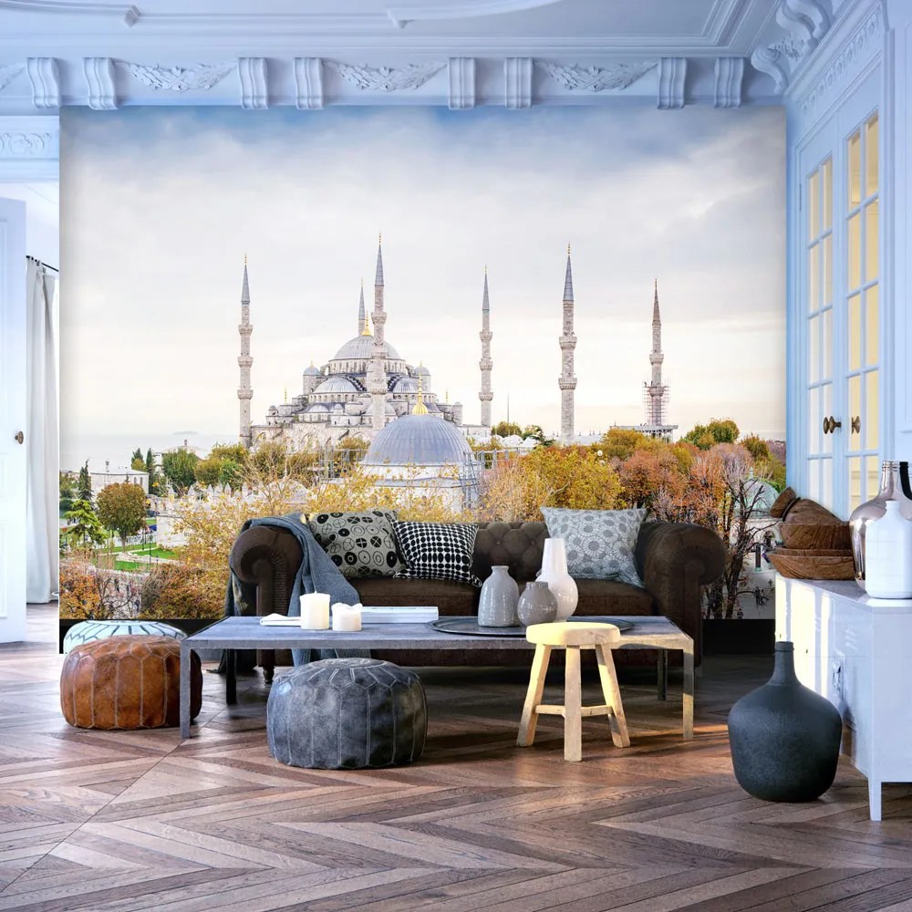 Fototapeta - Hagia Sofia - Istanbul 350x245 + zadarmo lepidlo
