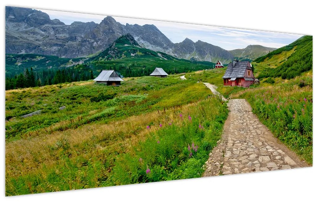 Obraz - Portrét leoparda (120x50 cm)