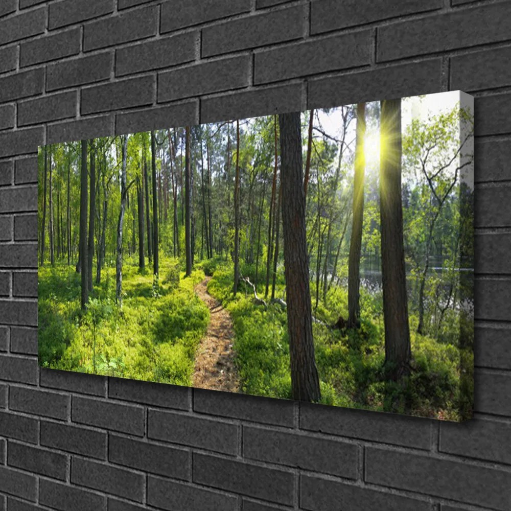 Obraz Canvas Les chodník cestička príroda 125x50 cm