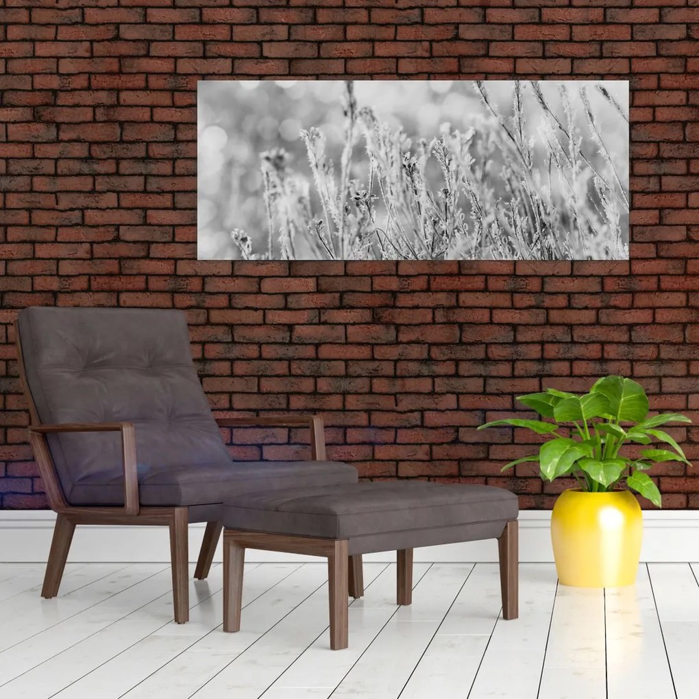 Obraz - Chladná zima (120x50 cm)