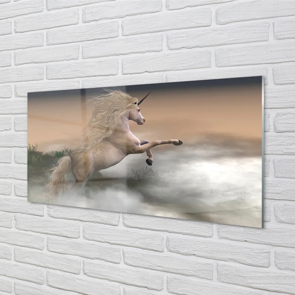 Obraz plexi Unicorn mraky 125x50 cm