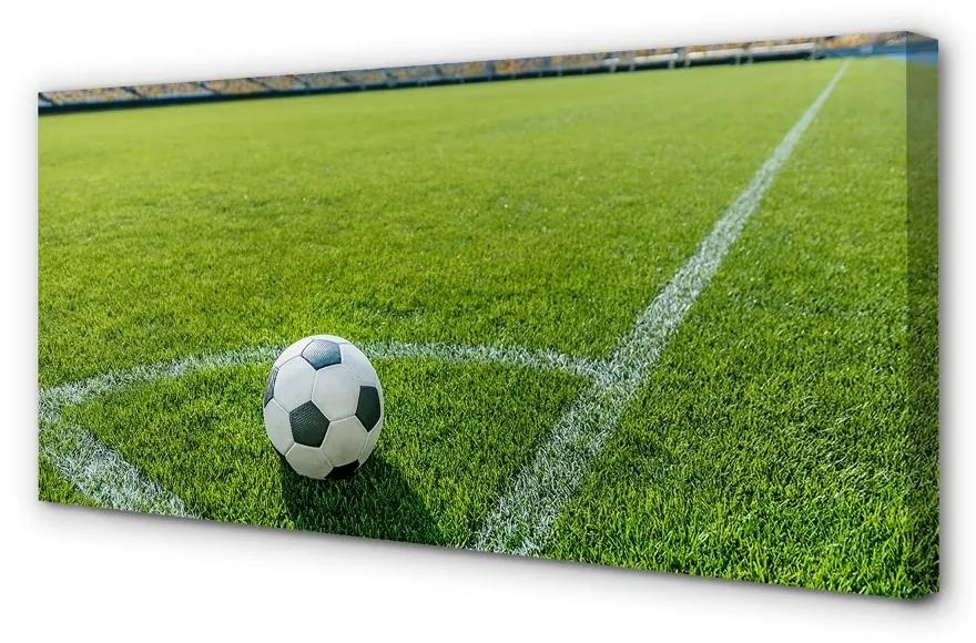 Obraz canvas Futbalový štadión trávy 120x60 cm