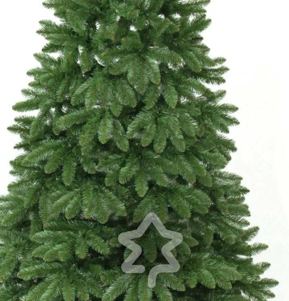 Smrek Kanadský 2D 220 cm