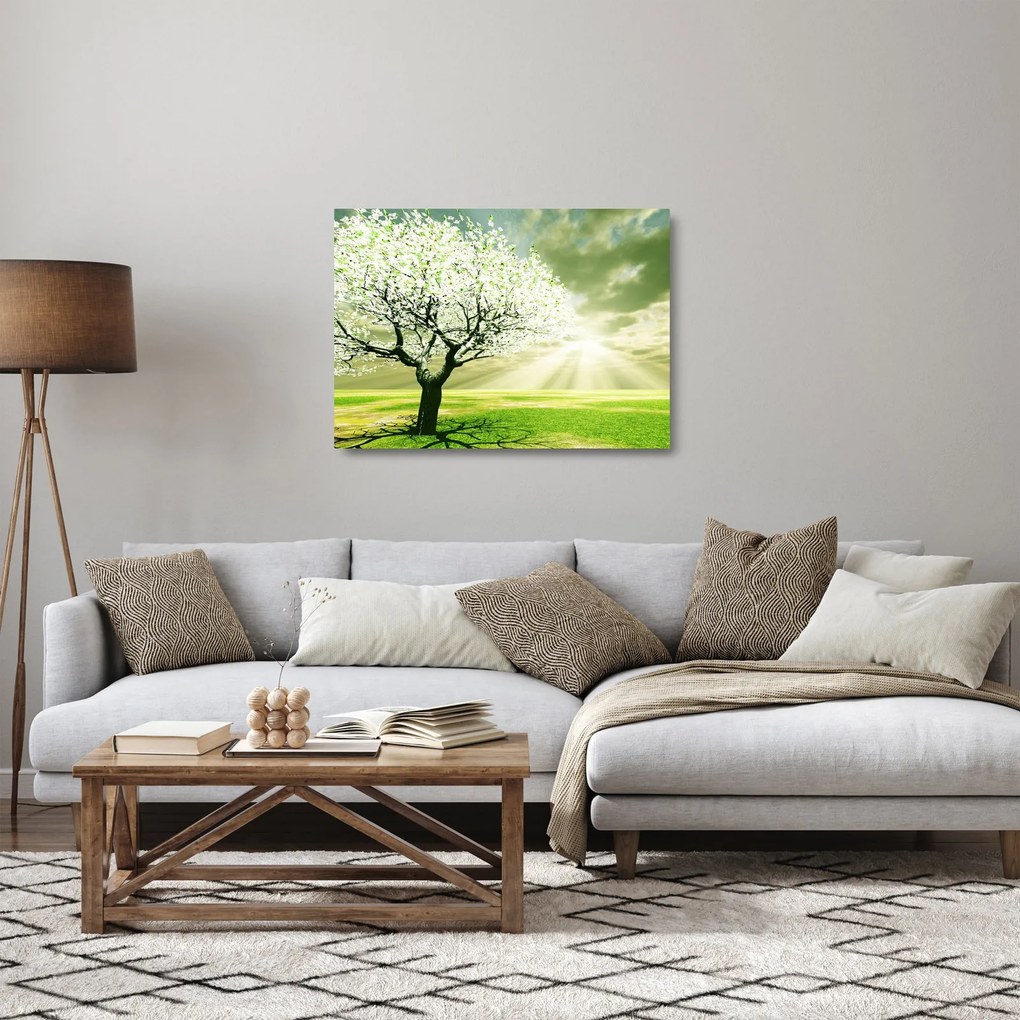 Sklenený obraz kvitnúceho stromu (70x50 cm)