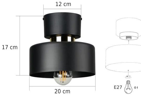 Stropné svietidlo IGNIA 1xE27/60W/230V čierna