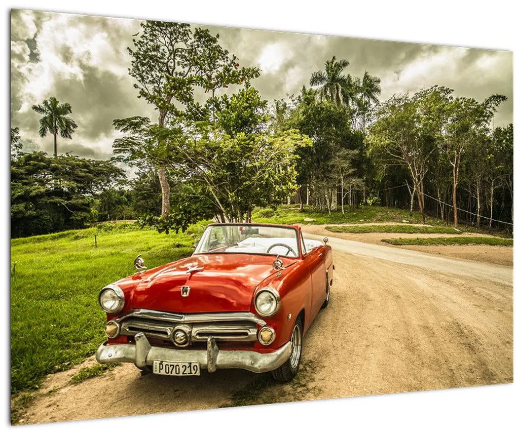 Obraz - auto veterán v prírode (90x60 cm)