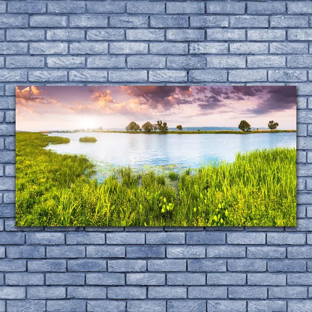 Obraz plexi Tráva jazero príroda 120x60 cm
