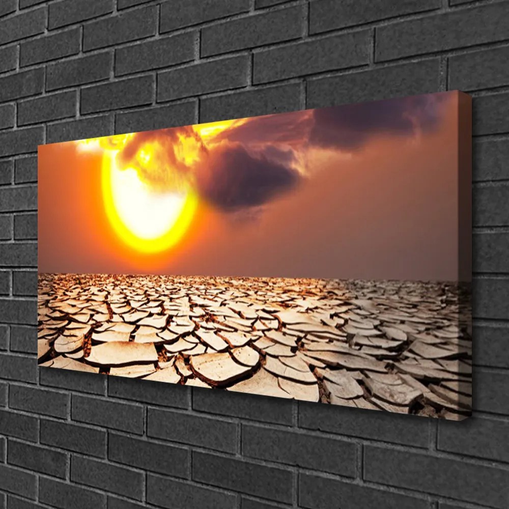 Obraz Canvas Slnko púšť krajina 125x50 cm