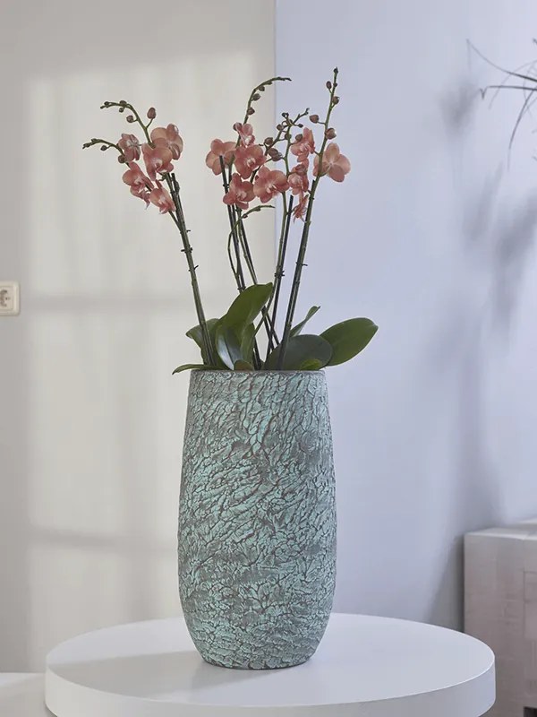 Indoor Pottery Pot Evi Antiq bronze 19x37 cm