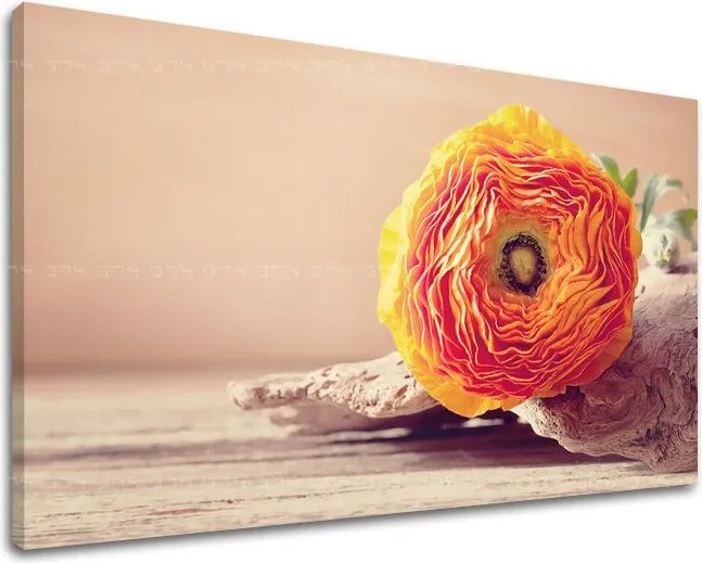 Obraz na stenu KVETY KV098E11 - 80x120 cm