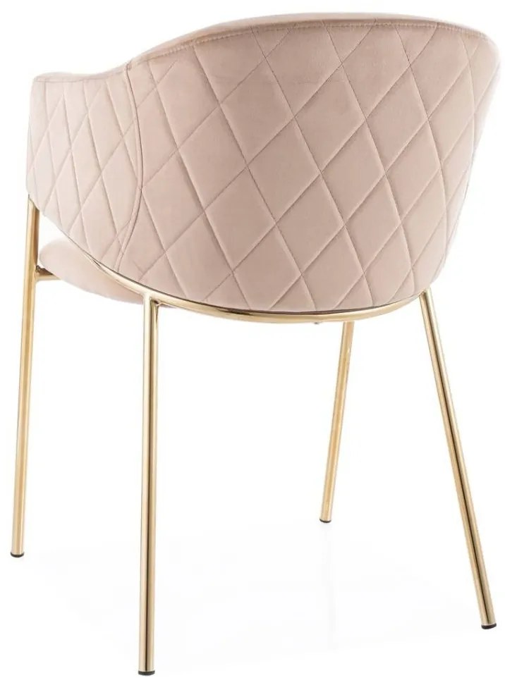 SIGNAL MEBLE Jedálenská stolička BONO VELVET GOLD, zlatá/béžová bluvel 28