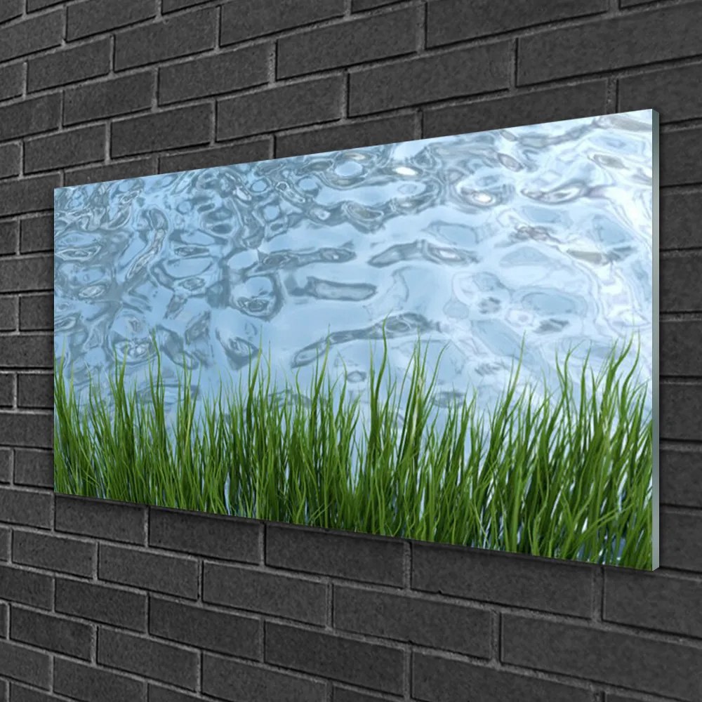 Skleneny obraz Tráva voda príroda 100x50 cm
