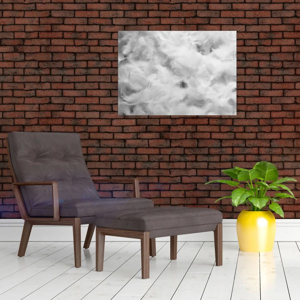 Sklenený obraz - Oblaky perie (70x50 cm)